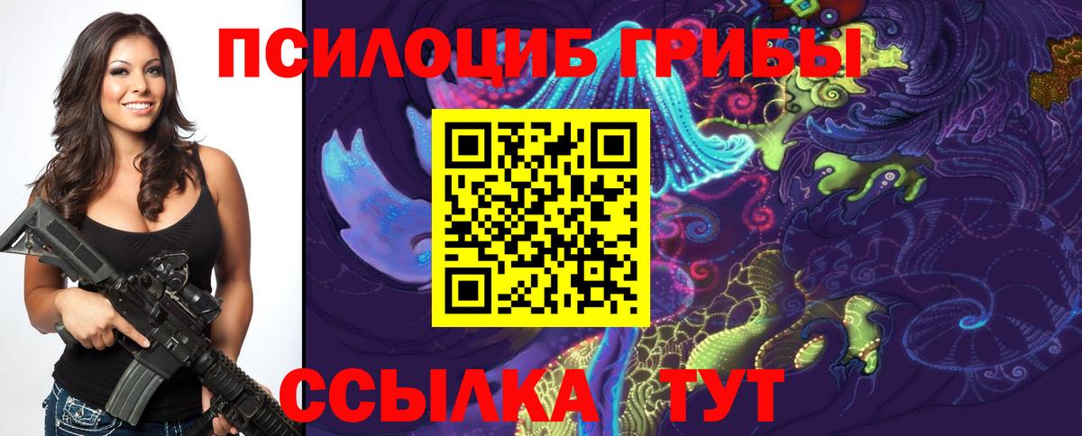 Кинель  Псилоцибиновые грибы ЛСД  дарнет шоп  Вход с VPN 